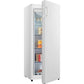 Congélateur Armoire NO FROST HISENSE - FV191N4AW2